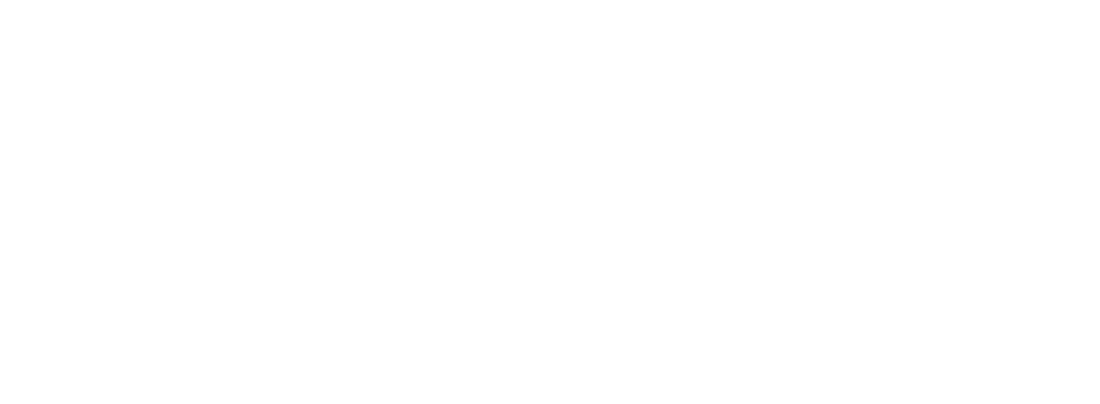 LigaTex Logo